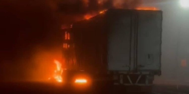 Asesinan a ex candidata del PT