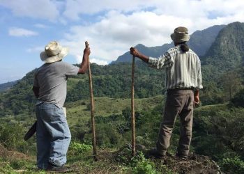 Suspenden Clases en los 212 Municipios de Veracruz