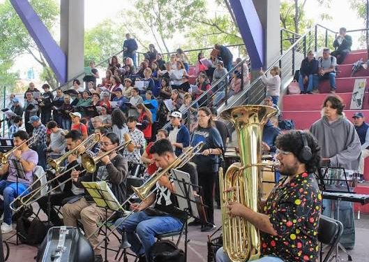 Alerta Gris en Veracruz: Lluvias Torrenciales Dejan Destrozos