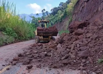 Alerta Gris en Veracruz: Lluvias Torrenciales Dejan Destrozos
