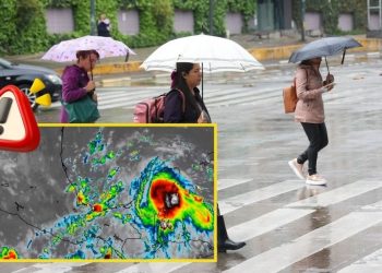 Alerta Gris en Veracruz: Lluvias Torrenciales Dejan Destrozos