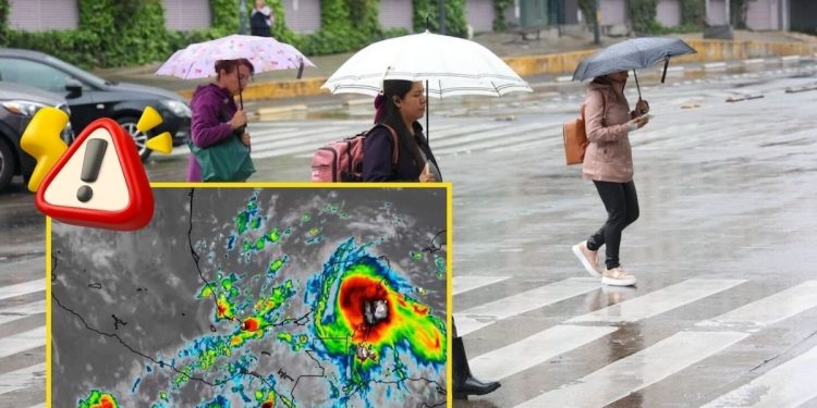 Alerta Gris en Veracruz: Lluvias Torrenciales Dejan Destrozos