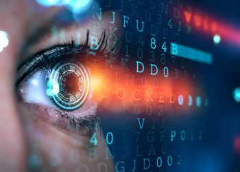 Veintinueve Fallecidos en Veracruz tras Lluvias Intensas