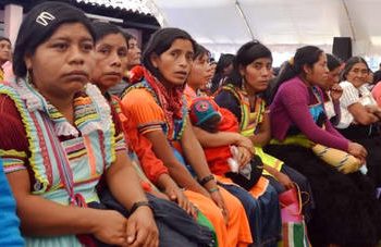 Veintinueve Fallecidos en Veracruz tras Lluvias Intensas