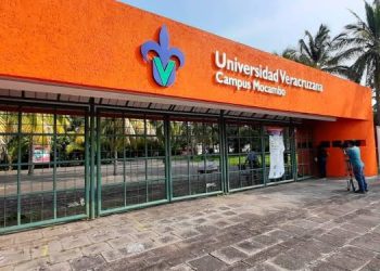 Veintinueve Fallecidos en Veracruz tras Lluvias Intensas
