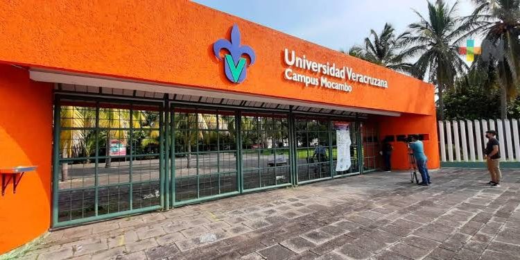 Veintinueve Fallecidos en Veracruz tras Lluvias Intensas