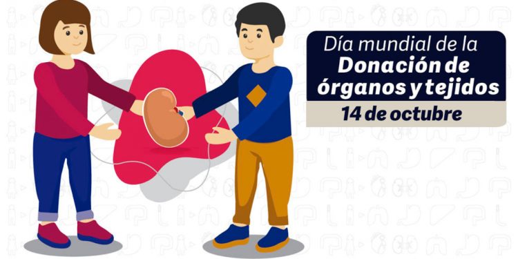Conmemoración del Día Mundial de la Donación de Órganos y Tejidos: Un Acto de Amor y Solidaridad