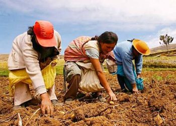 Mujeres Rurales: Pilares Fundamentales del Desarrollo Sostenible