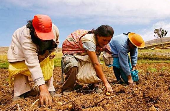 Mujeres Rurales: Pilares Fundamentales del Desarrollo Sostenible