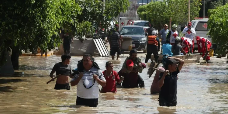 Operativo en la Cárcel de Chilpancingo: Decomisan Celulares y Droga