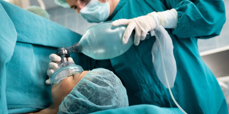 Día Mundial de la Alimentación