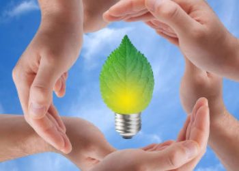 Día Mundial del Ahorro de Energía: Un Llamado a la Acción