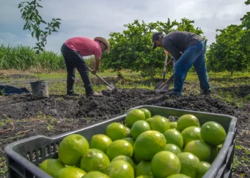 40 Municipios Bajo el Agua