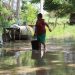 40 Municipios Bajo el Agua