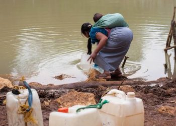Festival Internacional Cervantino: Un Encuentro de Arte y Cultura