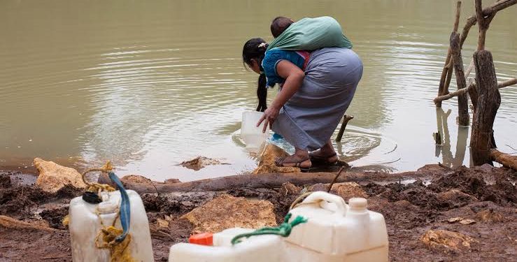 Festival Internacional Cervantino: Un Encuentro de Arte y Cultura