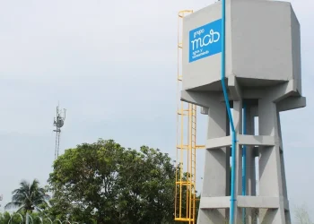 Festival Internacional Cervantino: Un Encuentro de Arte y Cultura