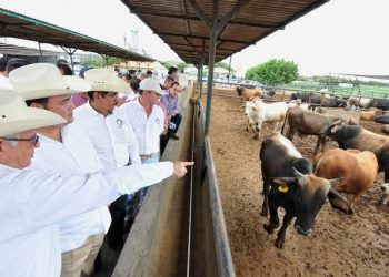Festival Internacional Cervantino: Un Encuentro de Arte y Cultura