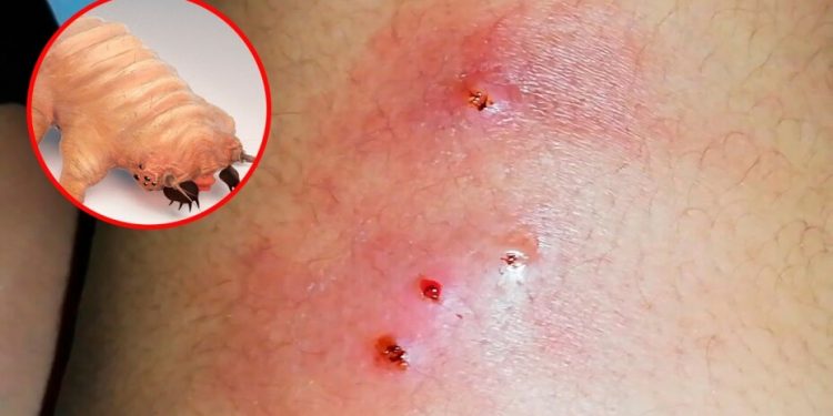 Sanciones a Empresas Incumplidas en Veracruz