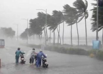 La Voz del Mariachi se Silencia: Fallece Charito Casas