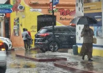 50 Años de Poesía Viva: Voces Contemporáneas en el Seminario de Cultura Mexicana