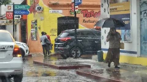 50 Años de Poesía Viva: Voces Contemporáneas en el Seminario de Cultura Mexicana