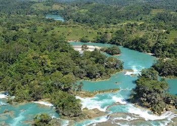Unidos por el Medio Ambiente en Chiapas