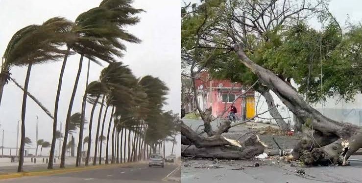 Hombre Ejecutado en Actopan; Policía Busca al Presunto Responsable