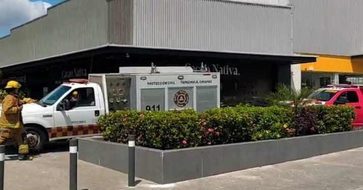 Billie Eilish y Jacob Elordi, ¿Nueva Pareja en la Meca del Espectáculo?