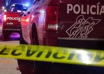 Billie Eilish y Jacob Elordi, ¿Nueva Pareja en la Meca del Espectáculo?