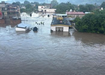 Suman 64 fallecidos y 65 desaparecidos por lluvias en cinco estados del país