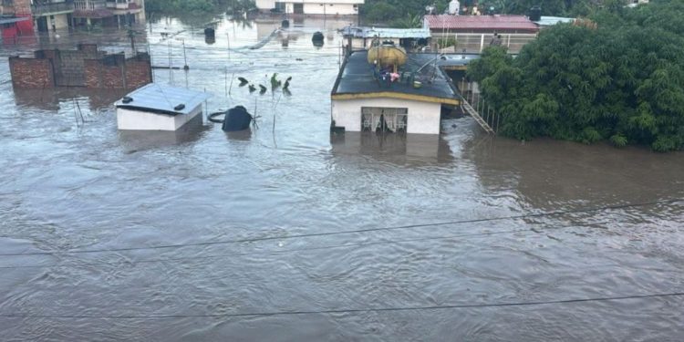 Suman 64 fallecidos y 65 desaparecidos por lluvias en cinco estados del país