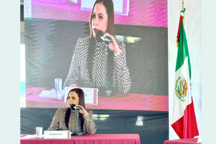 Pleno del TEQROO participa en la Audiencia Pública de la Comisión Presidencial para la Reforma Electoral