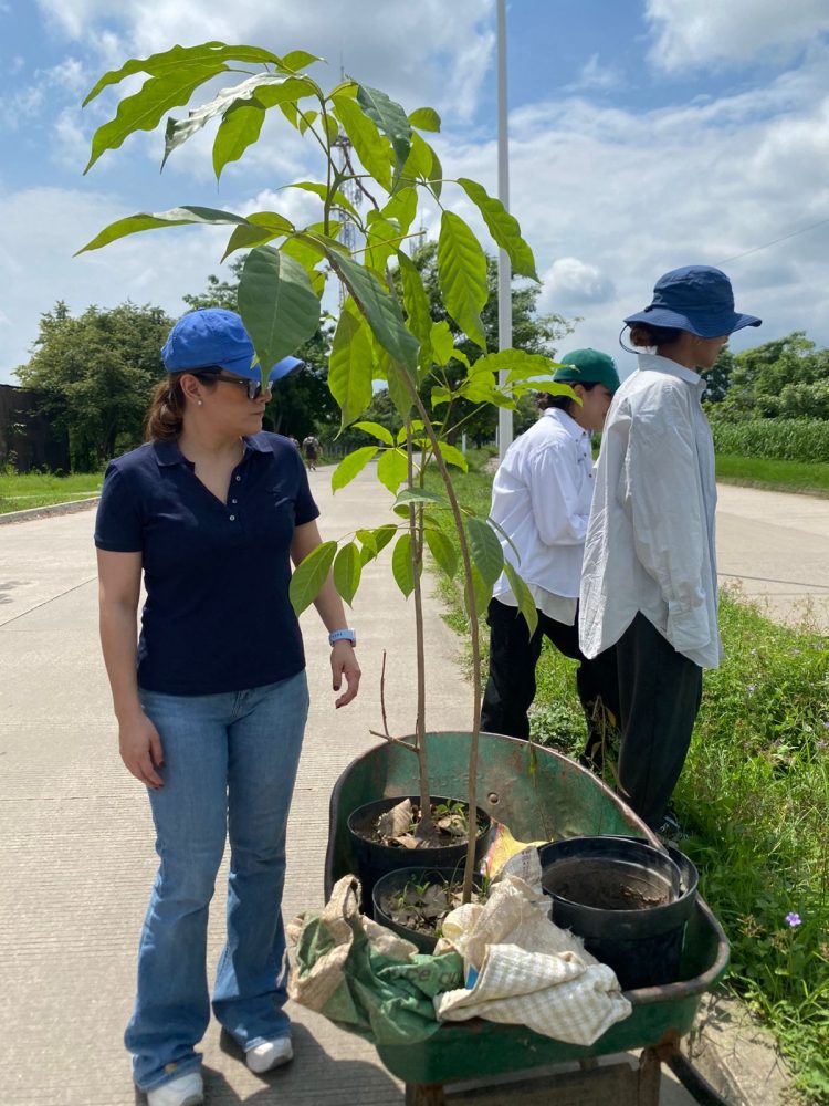 Ale Balderas encabeza campaña de reforestación en El Country
