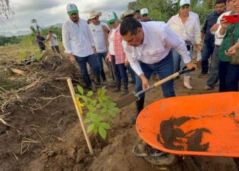 Supera Tabasco meta con más de 2.7 millones de árboles sembrados en jornada de reforestación