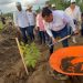 Supera Tabasco meta con más de 2.7 millones de árboles sembrados en jornada de reforestación
