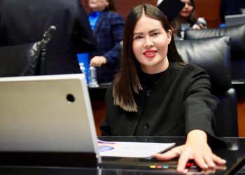 Anahí González aprueba Reforma a la Ley Aduanera, una iniciativa que moderniza y fortalece la economía de México