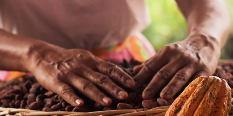 Gobierno invertirá 17 mdp para el Festival del Chocolate