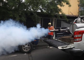 Tabasco supera los 500 casos de dengue; continúa en sexto lugar nacional en incidencia
