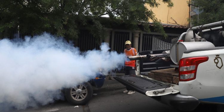 Tabasco supera los 500 casos de dengue; continúa en sexto lugar nacional en incidencia