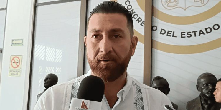 PVEM sembrará más de 10 mil árboles en los 17 municipios del Estado