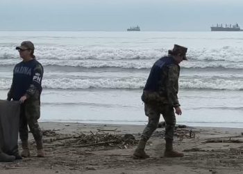 Elementos del Sector Naval de Champotón realizan jornada de limpieza de playas