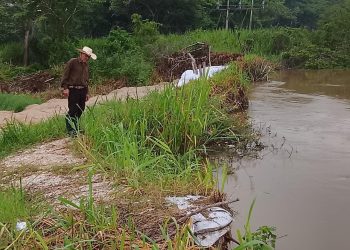 Niveles de ríos en Palizada se mantienen estables pese a temporada de lluvias