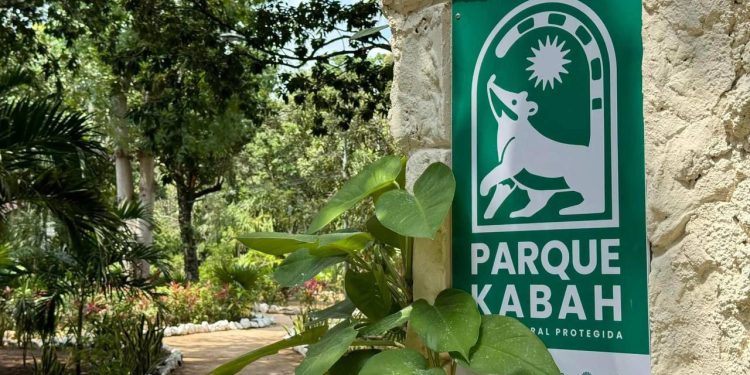 Parque Kabah celebra tres décadas como pulmón verde de Cancún con actividades ambientales