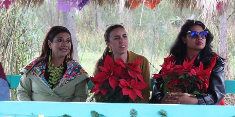 Destaca Clara Brugada producción histórica de 1 millón 800 mil flores de nochebuena en 2025; garantiza continuidad de apoyos a productores