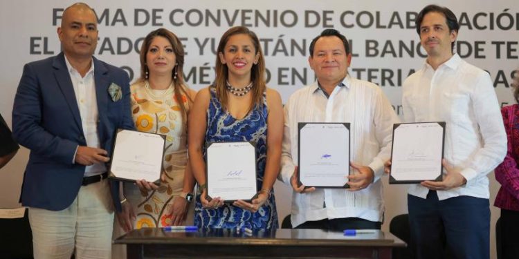 Yucatán y Estado de México unen esfuerzos para mejorar tratamientos de trasplante