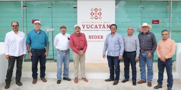 Yucatán impulsa producción de mosca estéril para erradicar el gusano barrenador