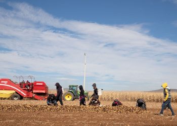 Alzas en alimentos golpean el bolsillo: el campo enfrenta crisis y tensiones por reforma hídrica