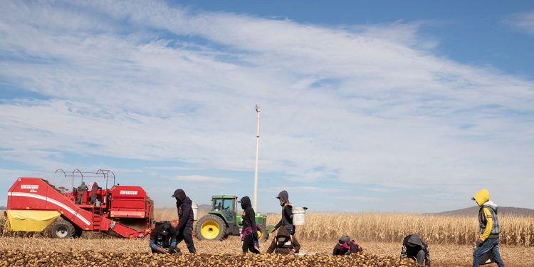Alzas en alimentos golpean el bolsillo: el campo enfrenta crisis y tensiones por reforma hídrica