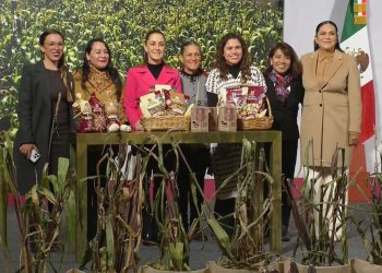México impulsa programa nacional para rescatar y fortalecer el maíz nativo